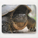 Suche nach schildkröten mousepads Reptil