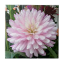 Suche nach dahlie blume fliesen Für alle