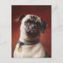 Suche nach mops postkarten Tierfreunde