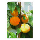 Suche nach obstbaum karten Pfirsichbäume