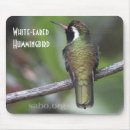 Suche nach kolibri mousepads Wild lebende tiere