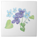 Suche nach veilchen fliesen Botanisch