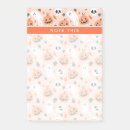 Suche nach ghost post it Rückgang