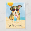 Suche nach welsh corgi postkarten Pwc