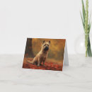 Suche nach cairn terrier karten Haustier