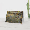 Suche nach goldfisch geburtstag karten Humorvoll