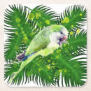 Suche nach grüner papagei untersetzer Grünsittich