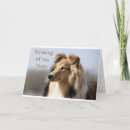Suche nach collie karten Für sie/ihn