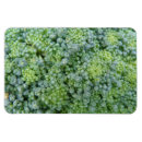 Suche nach broccoli magnete Veggies