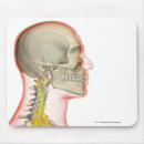 Suche nach menschlicher körper mousepads Teil
