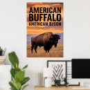 Suche nach amerikanischer bison poster Für alle