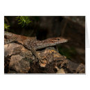 Suche nach monitor postkarten Varanus