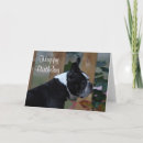 Suche nach profil alle karten Hund