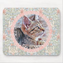 Suche nach tigerkatze mousepads Kätzchen