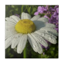 Suche nach lilac fliesen Blumenreich