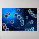 Suche nach organismus poster Wissenschaft