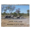 Suche nach safari kalender Löwe