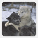 Suche nach wolf im schnee aufkleber Natur
