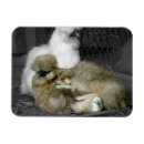 Suche nach pinkeln magnete Natur