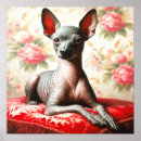 Suche nach mexikanischer hund poster Welpe