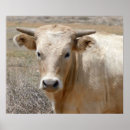 Suche nach niedliches cowgirl poster Cowboy