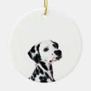 Suche nach dalmatiner ornamente Hundemutter