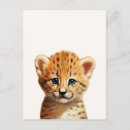 Suche nach cheetah postkarten Tropisch