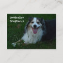 Suche nach adoptieren visitenkarten Hund
