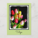 Suche nach tulip postkarten Holland