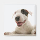 Suche nach tierkörperteil magnete Entwurf