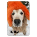 Suche nach orange gold magnete Jede person