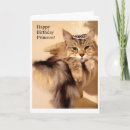 Suche nach sibirische katzen karten Jede person