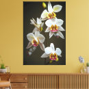 Suche nach botanik leinwandbilder Orchidee