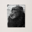 Suche nach gorrilla Gorilla