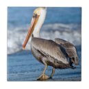 Suche nach pelikan fliesen Strand