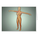 Suche nach arterien postkarten Mediane nerven