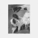 Suche nach lemur decken Tier