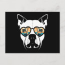 Suche nach tierarzt postkarten Für haustiere