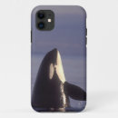 Suche nach orca iphone hüllen Tierwelt