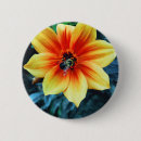 Suche nach bunte biene buttons Bienen