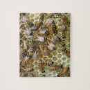 Suche nach honigbienen puzzle Spaß