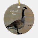 Suche nach gans ornamente Fotografie