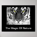 Suche nach weiße magie poster Jede person