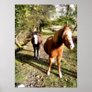 Suche nach ponys poster Niedlich