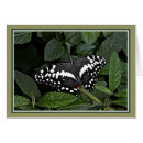 Suche nach papilio postkarten Flügel