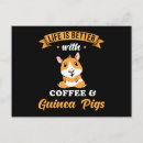 Suche nach guinea pig postkarten Lustig
