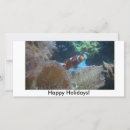 Suche nach clownfische karten Nemo