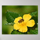 Suche nach honigbienen poster Blume