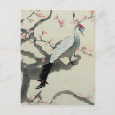 Suche nach japanische pfau postkarten Kirschblüte