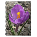 Suche nach krokus kleine notizbücher Für alle